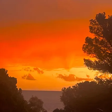 Maison Classee Sur Le Golfe De St Tropez 펜션 *